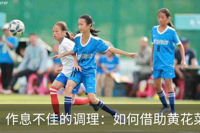 作息不佳的调理：如何借助黄花菜改善睡眠与情绪